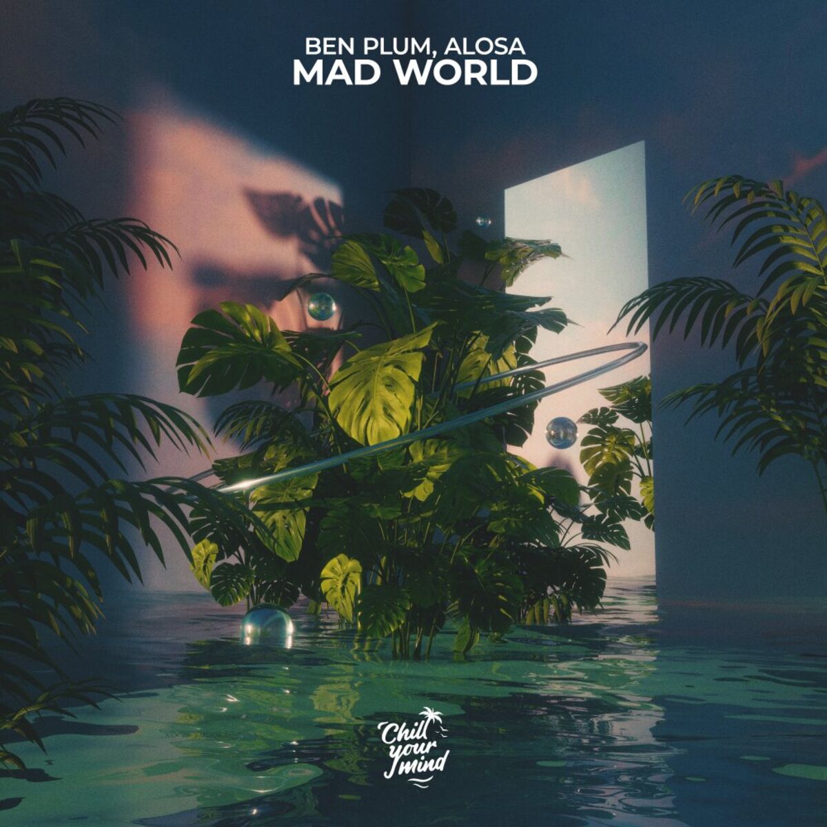 Album cover of Mad World