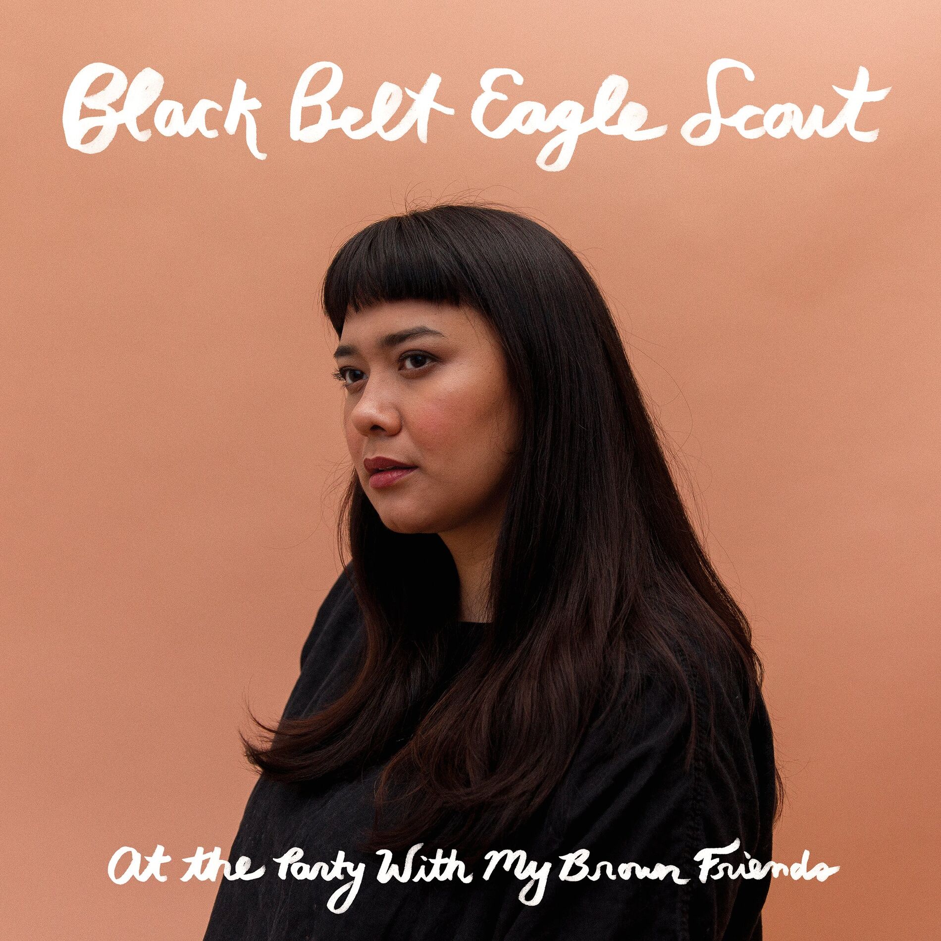 Album cover of At the Party With My Brown Friends