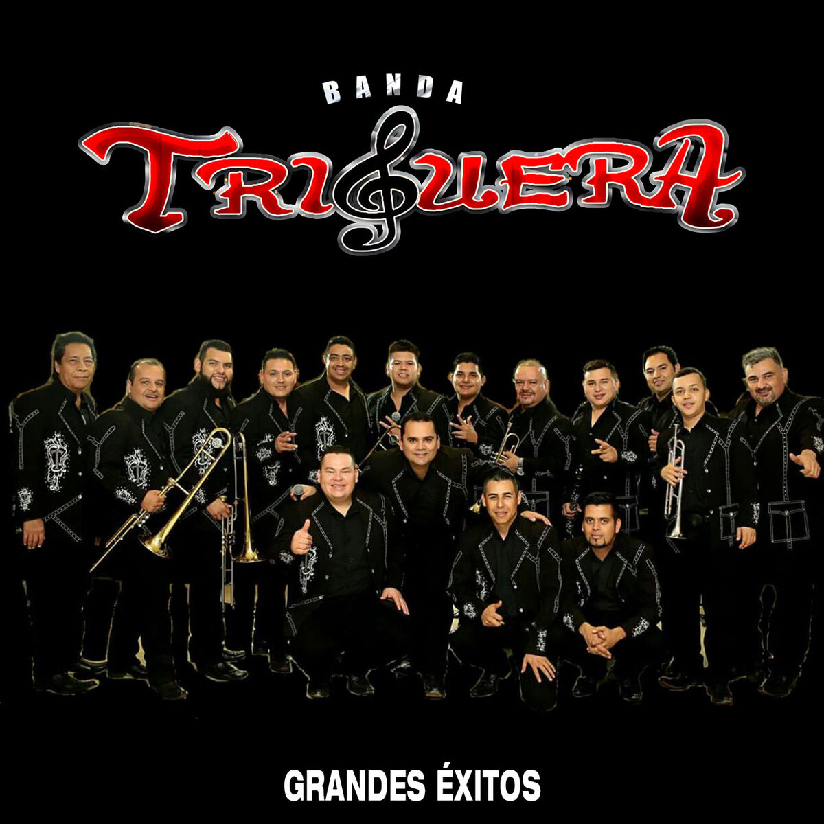 Album cover of Grandes Éxitos