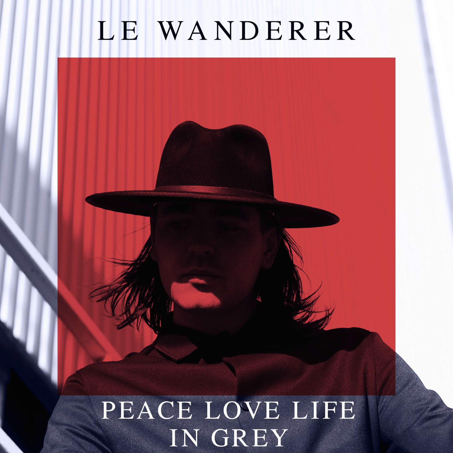 Album cover of Peace Love Life in Grey