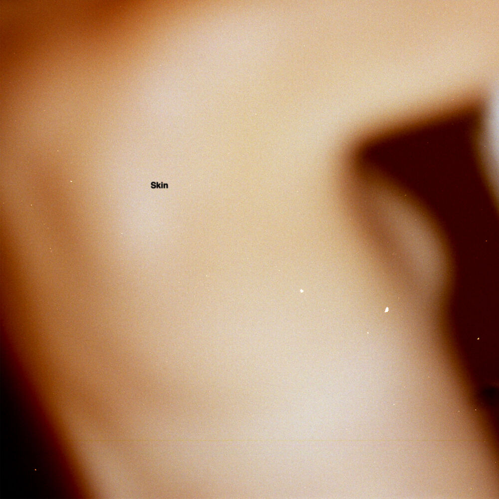 Picture of Skin