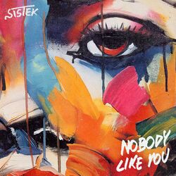 Cover of Nobody Like You