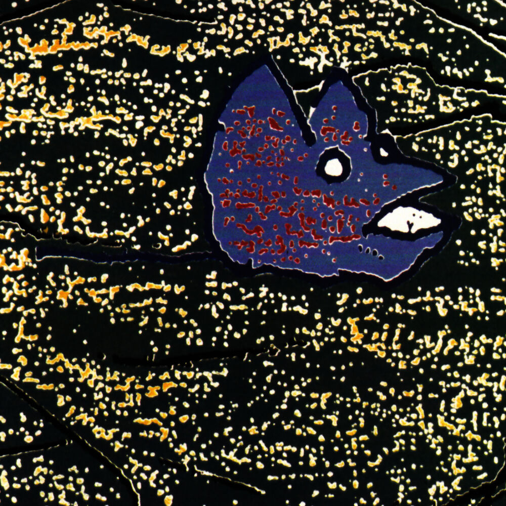 Picture of Blue Bird
