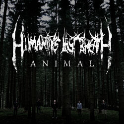 Cover of Animal - Single