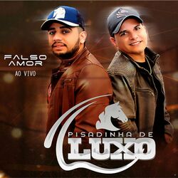 Cover of Falso Amor (Ao Vivo)