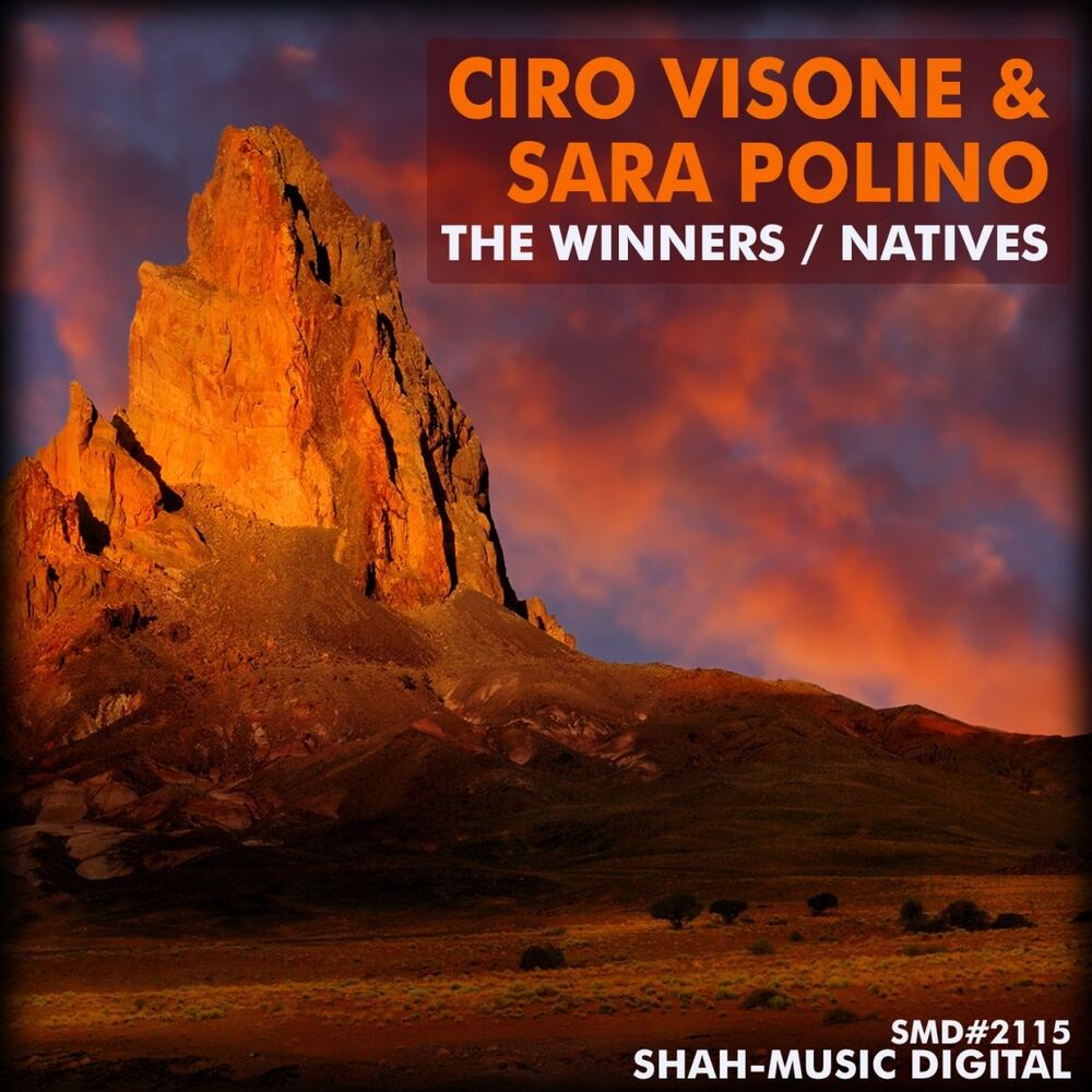 Picture of The Winners / Native