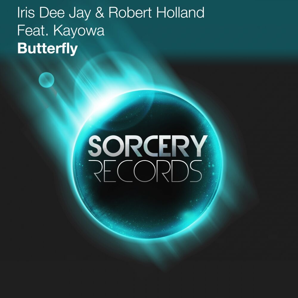 Picture of Butterfly