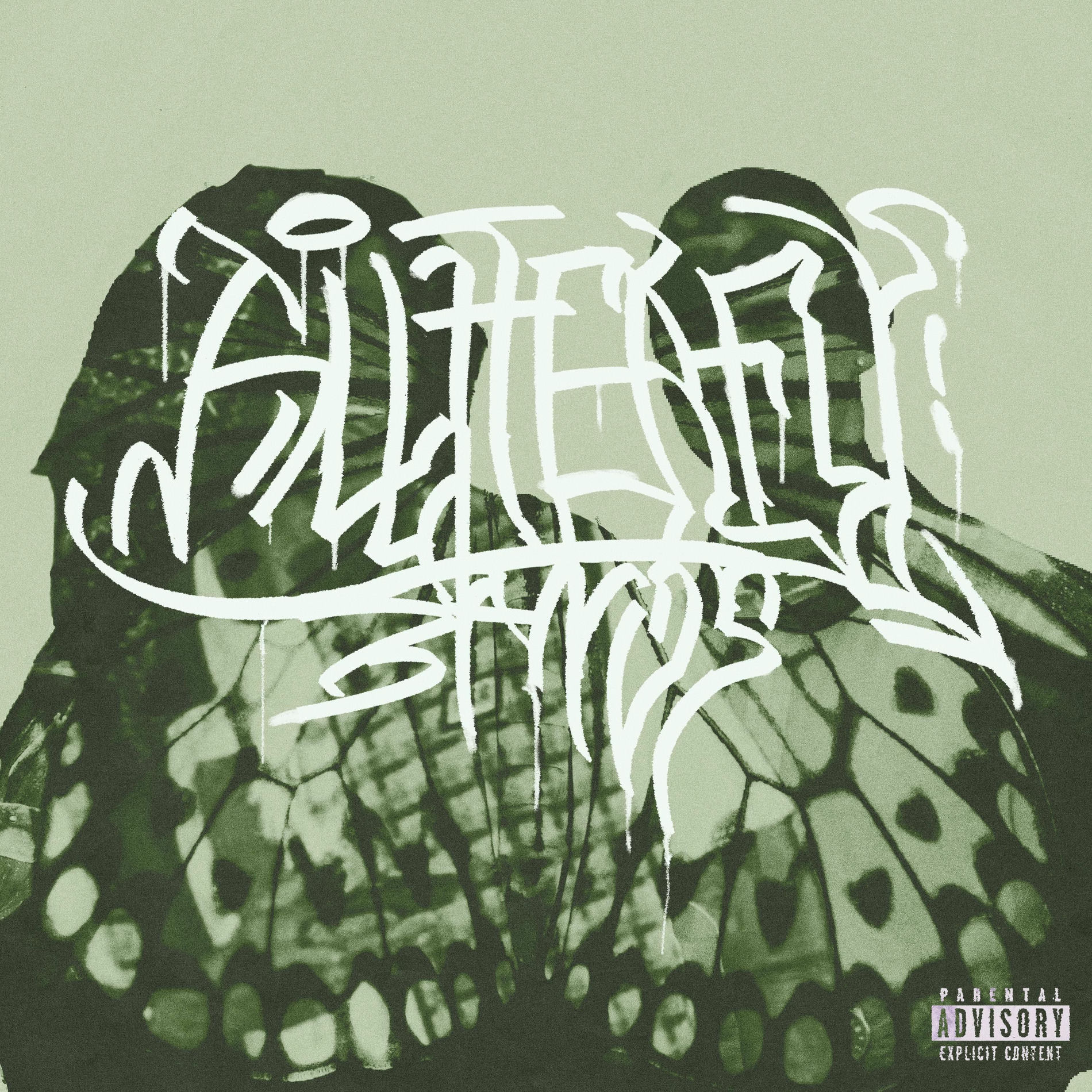 Album cover of BUTTERFLY BANDS (feat. Rushy)