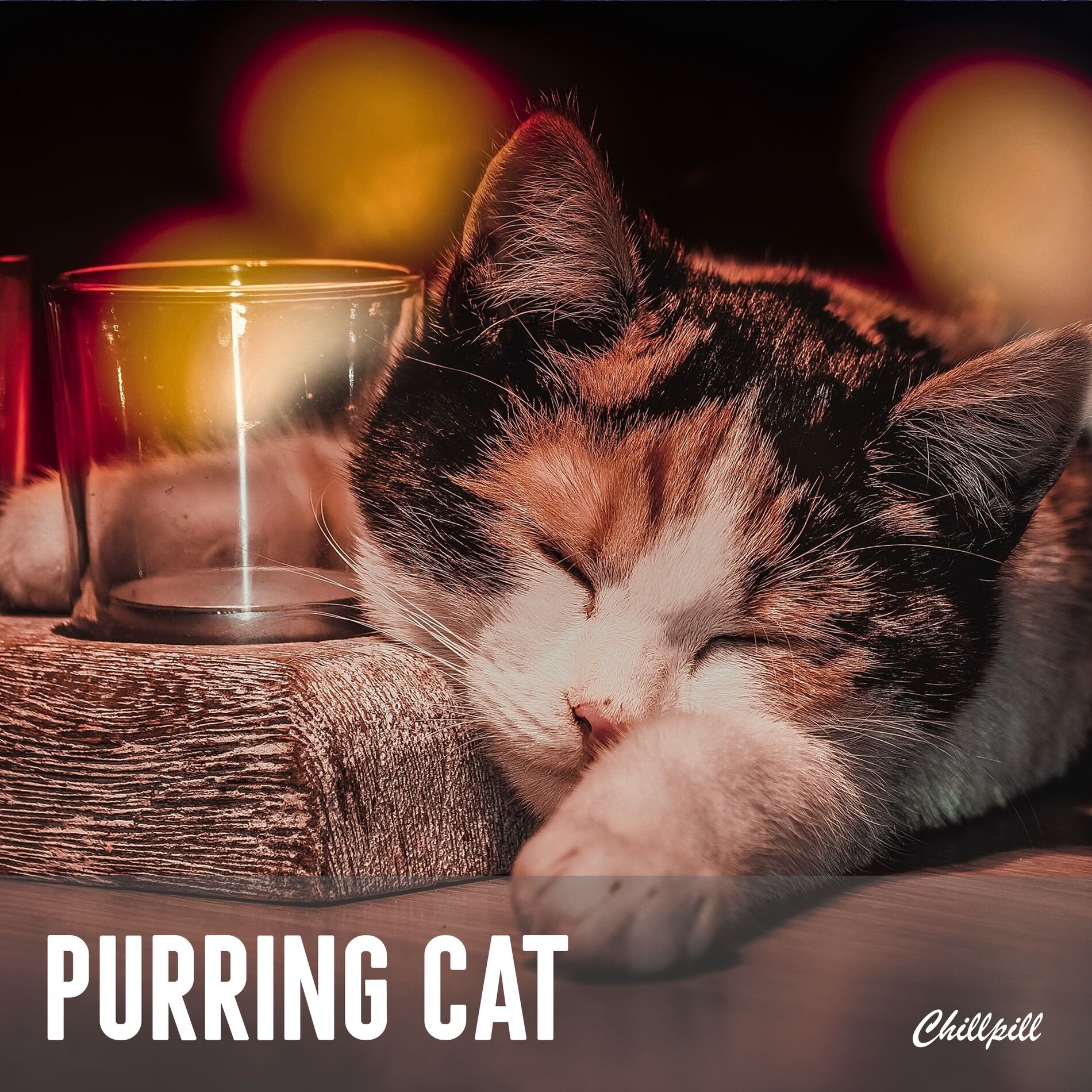 Album cover of Kitten in Peaceful Sleep