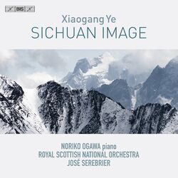 Cover of Xiaogang Ye: Sichuan Image