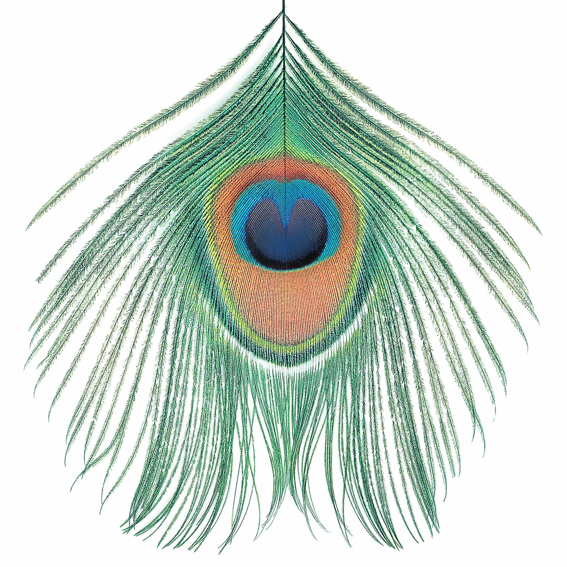 Album cover of Apple Venus, Vol. 1