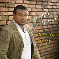 Cover of Luis Miguel del Amargue, Grandes Éxitos