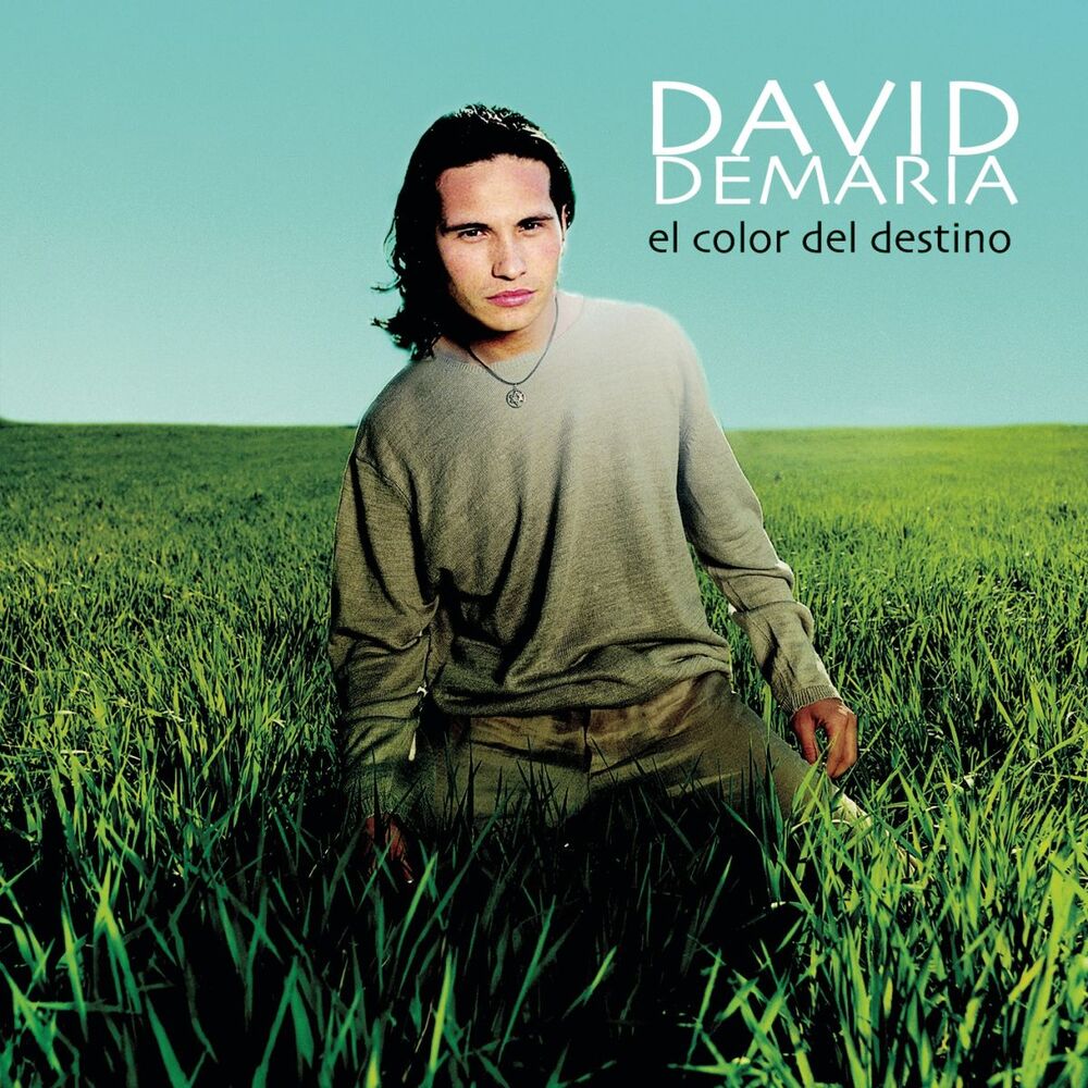 Picture of El Color Del Destino