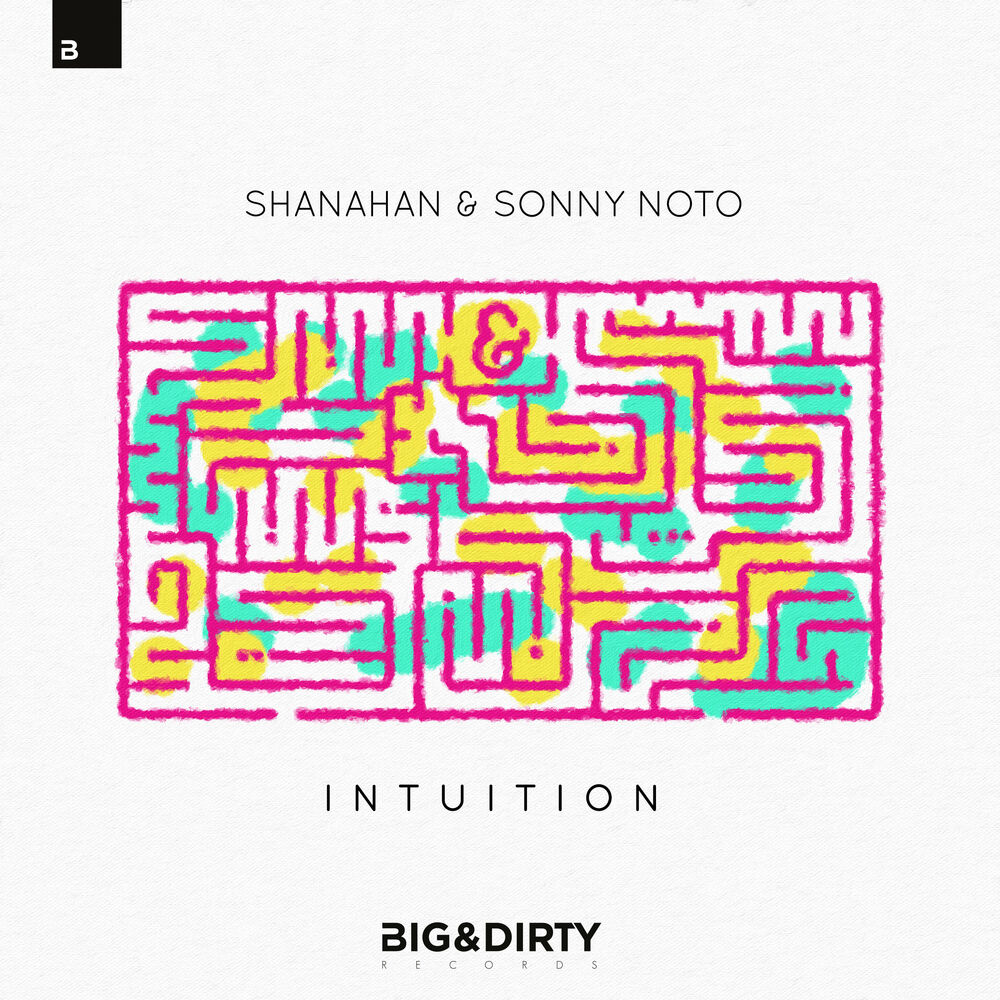 Picture of Intuition