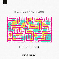 Cover of Intuition