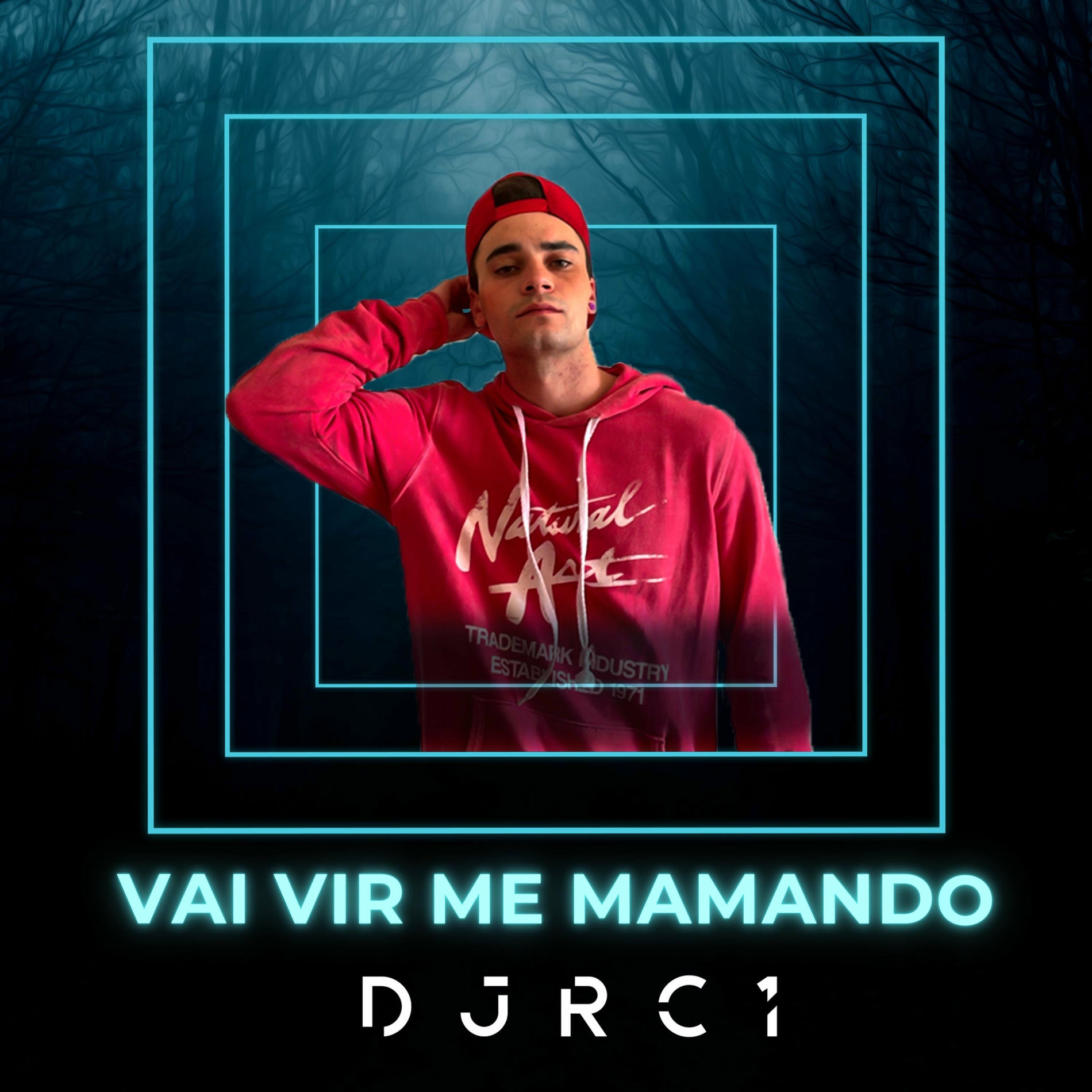 Album cover of VAI VIR ME MAMANDO