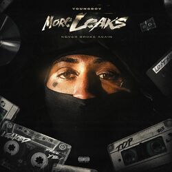 Cover of More Leaks