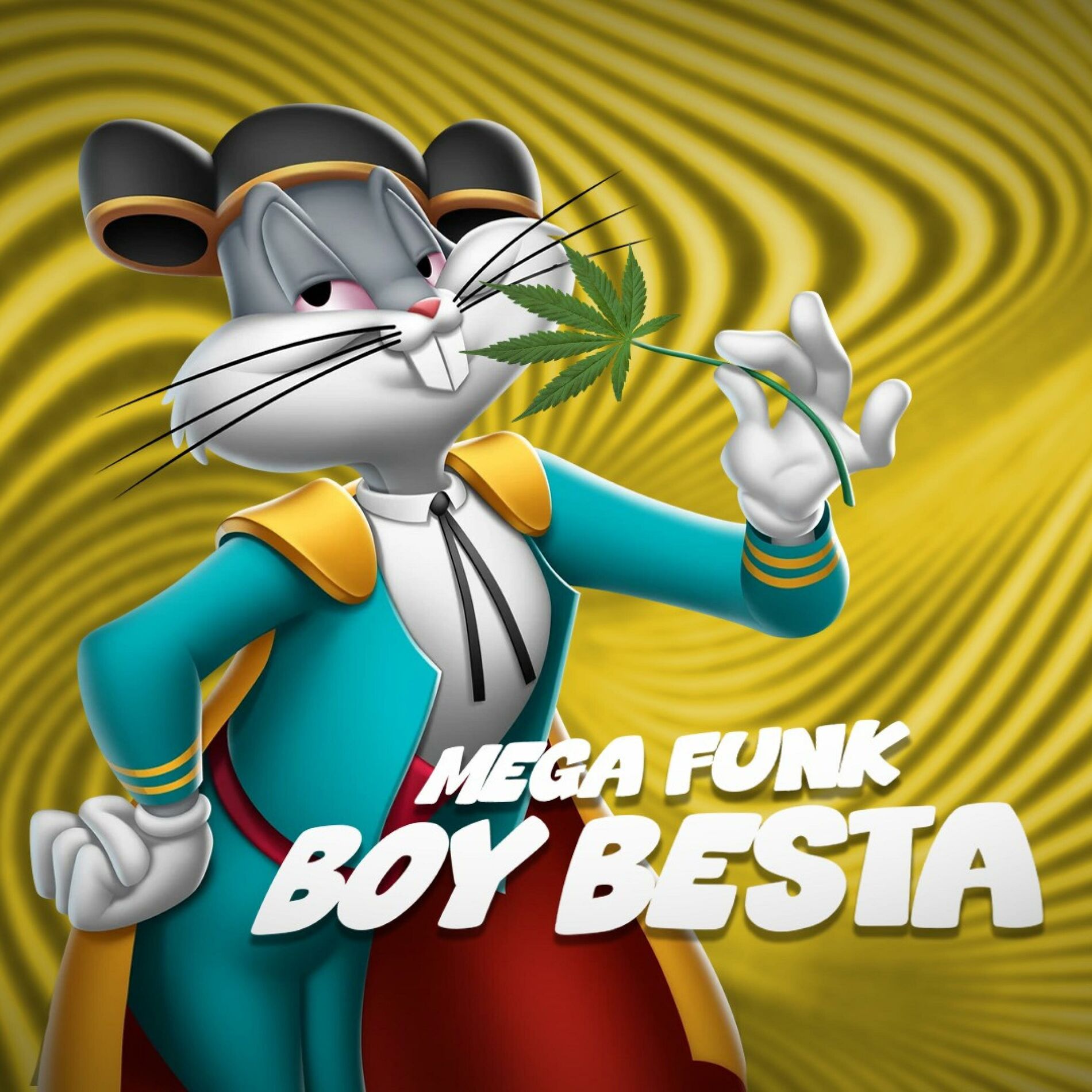 Album cover of MEGA FUNK BOY BESTA