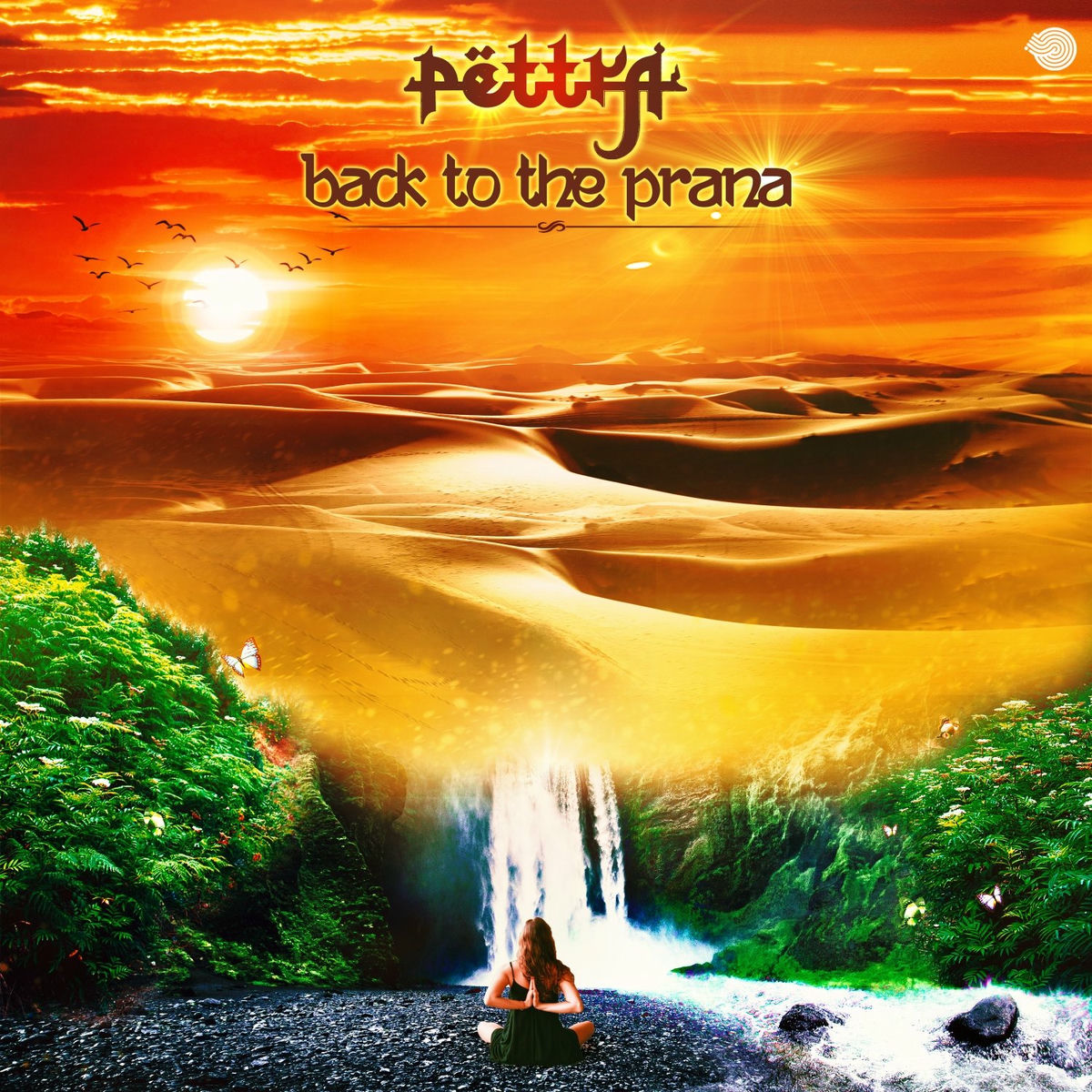 Album cover of Back to the Prana
