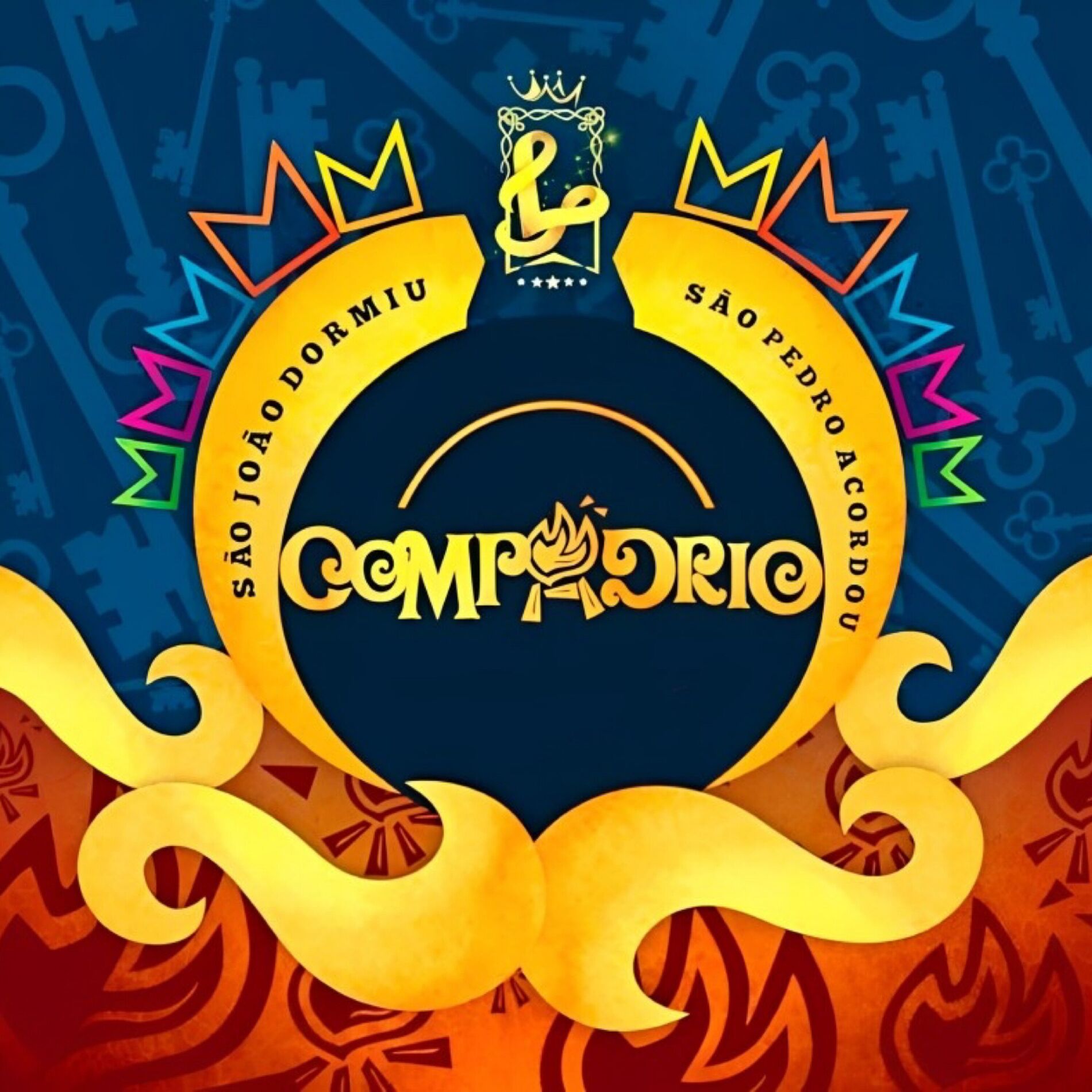 Album cover of Bota Lenha na Fogueira