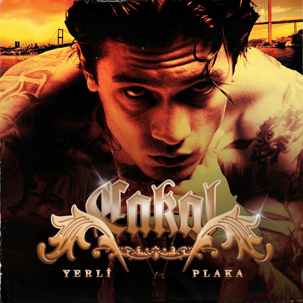 Album cover of Yerli Plaka