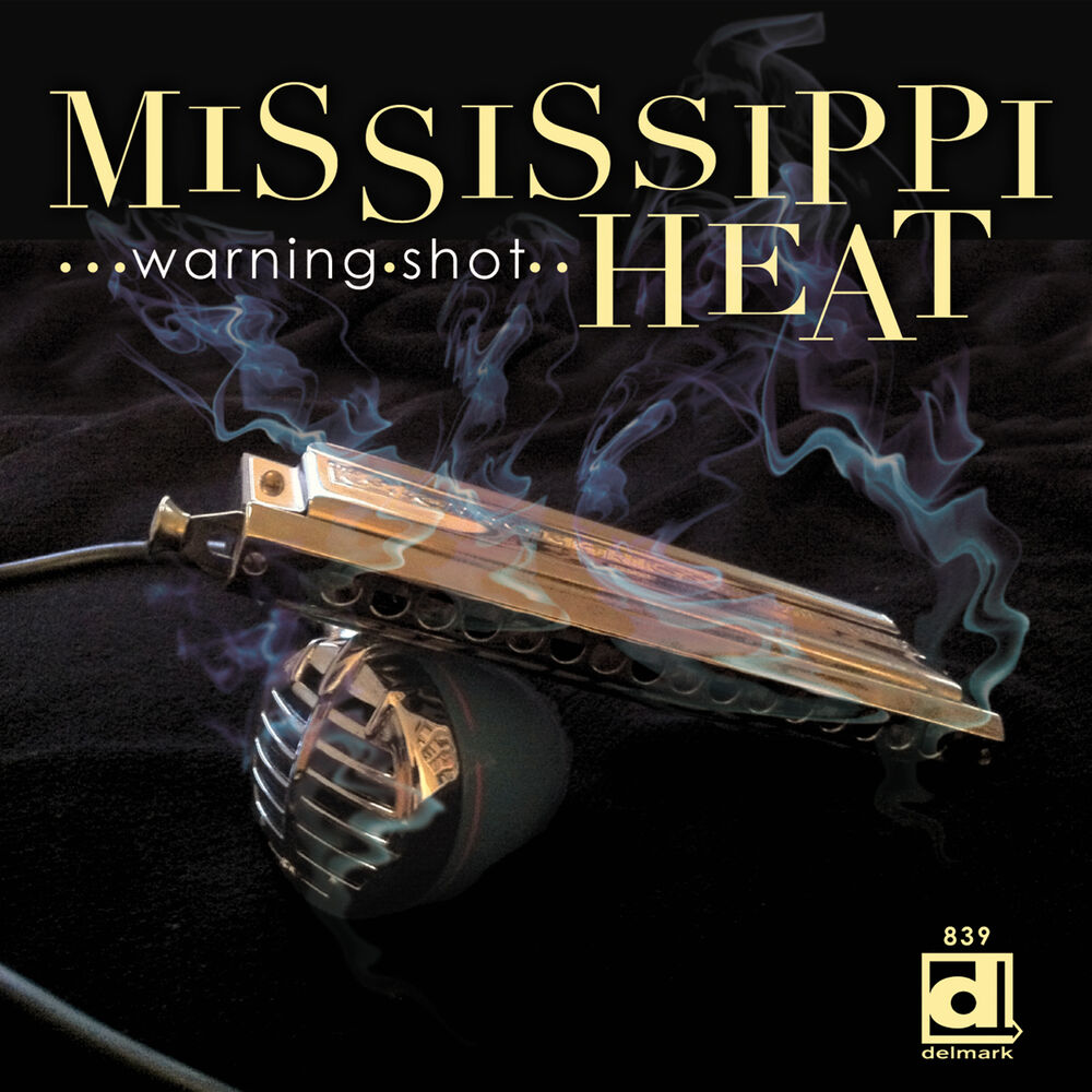Picture of Warning Shot