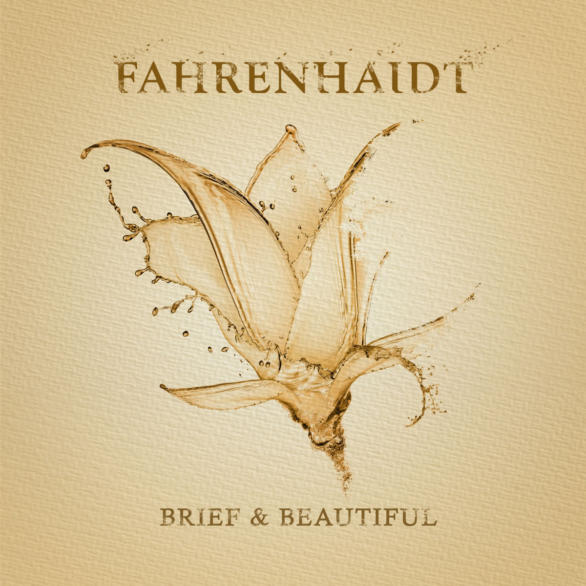 Album cover of Brief And Beautiful