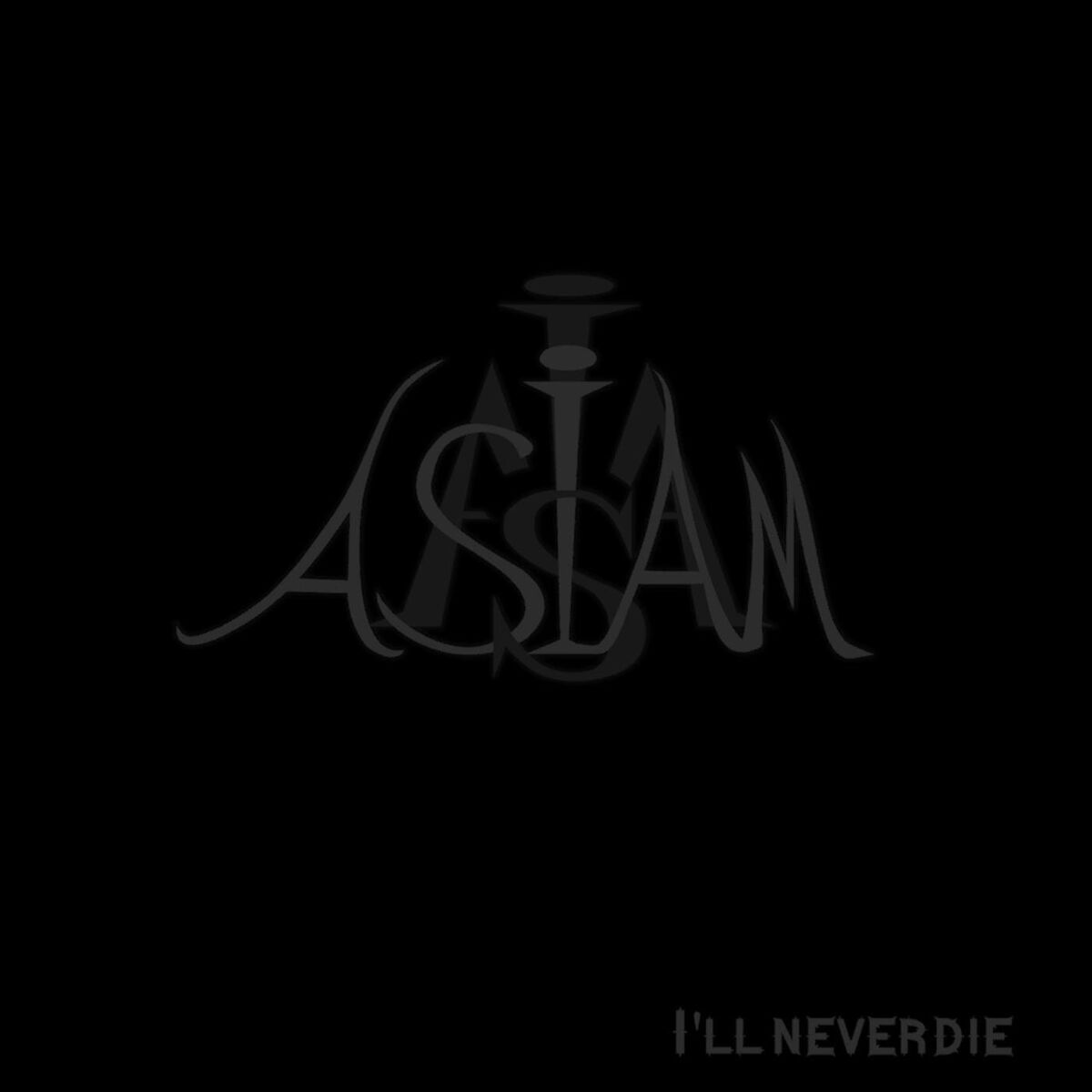 Album cover of I'll Never Die