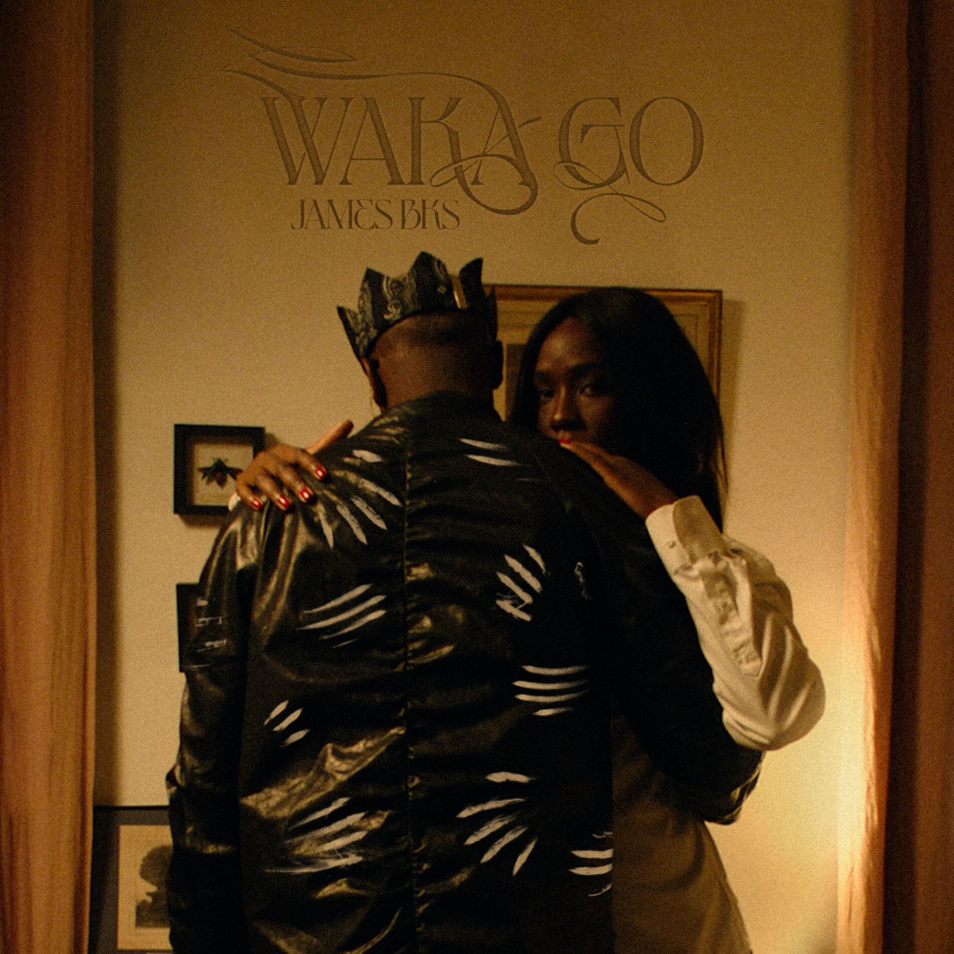Album cover of Waka Go