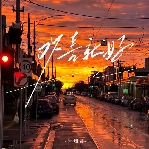 欢喜就好 (卢少华进行曲)
