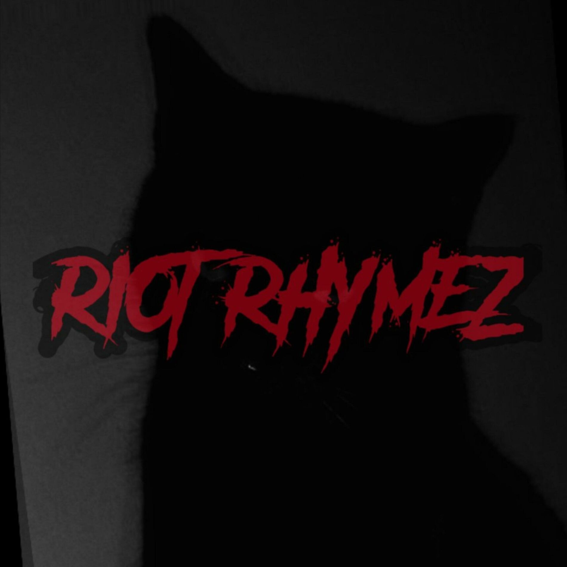 Album cover of RIOT RHYMEZ