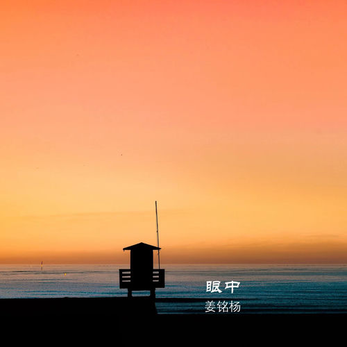 眼中