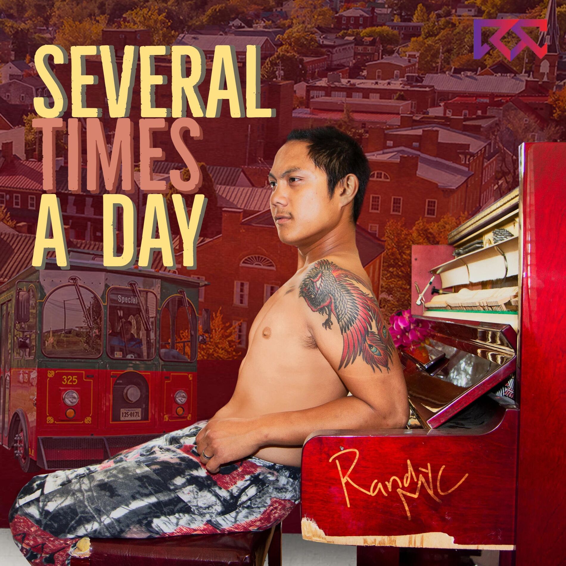 Album cover of Several Times a Day