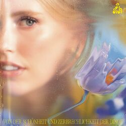 Cover of Von der Schönheit und Zerbrechlichkeit der Dinge