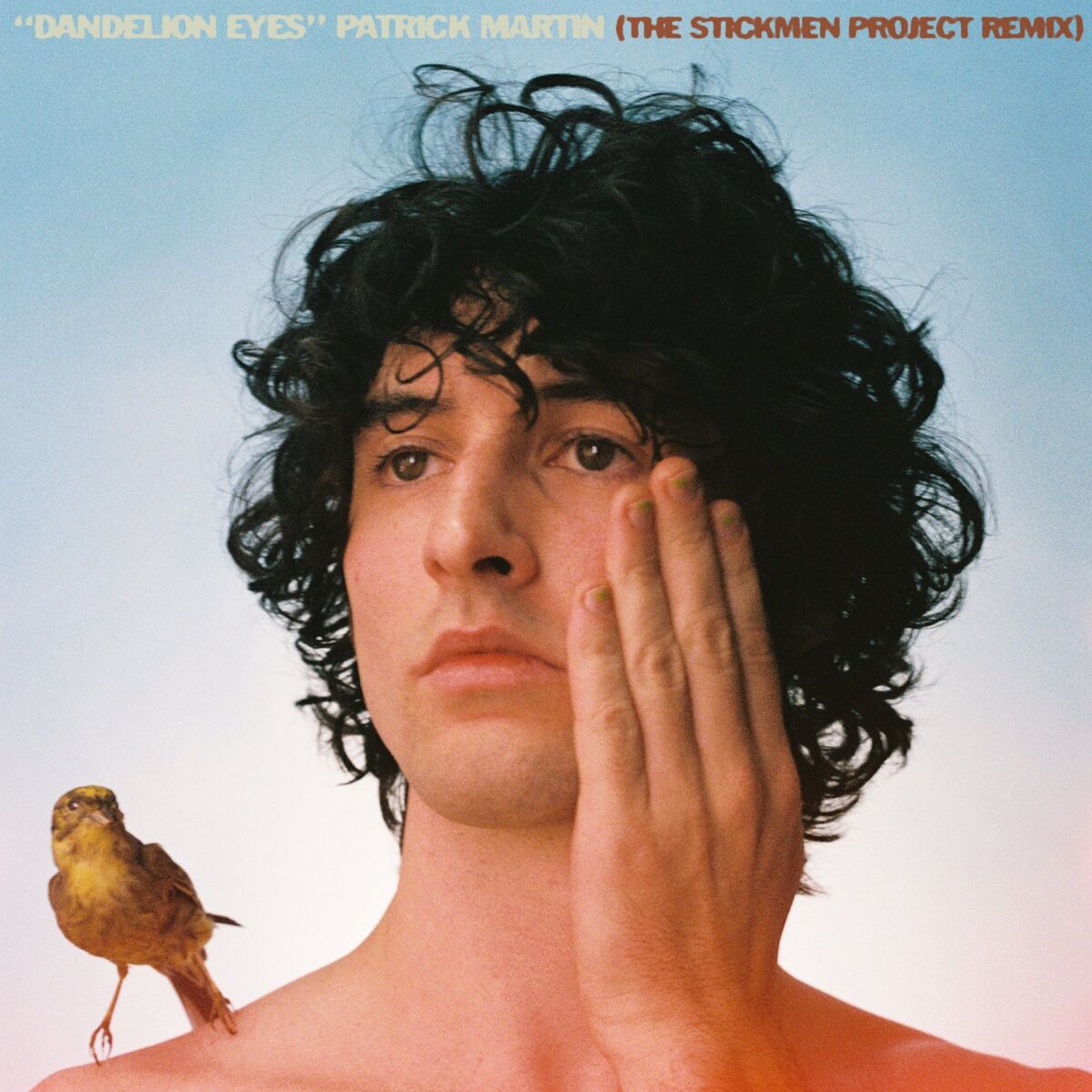 Album cover of Dandelion Eyes (The Stickmen Project Remix)