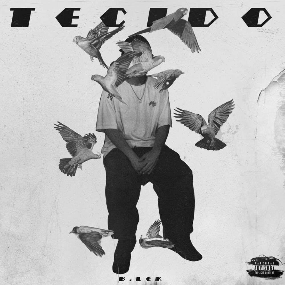Picture of Tecido