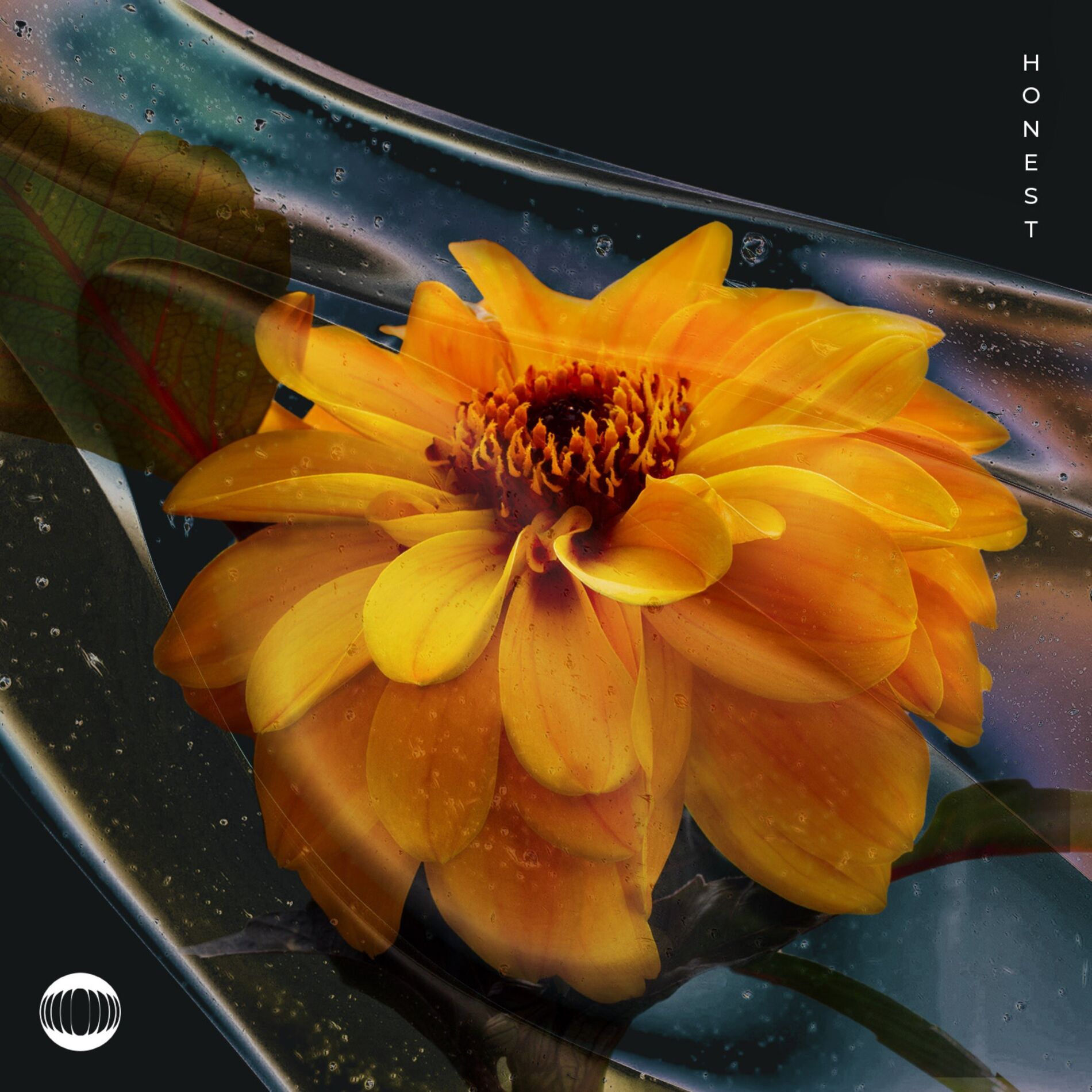 Album cover of Honest