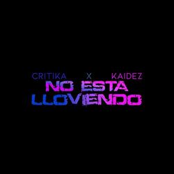 Cover of No está lloviendo