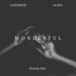 Cover of Wonderful