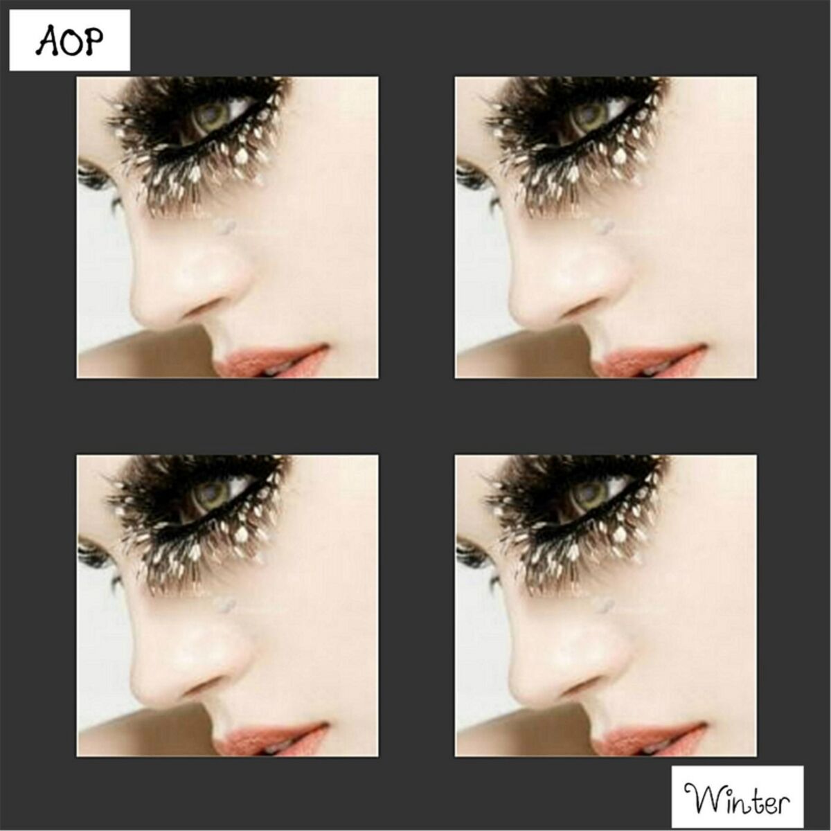 Album cover of Winter