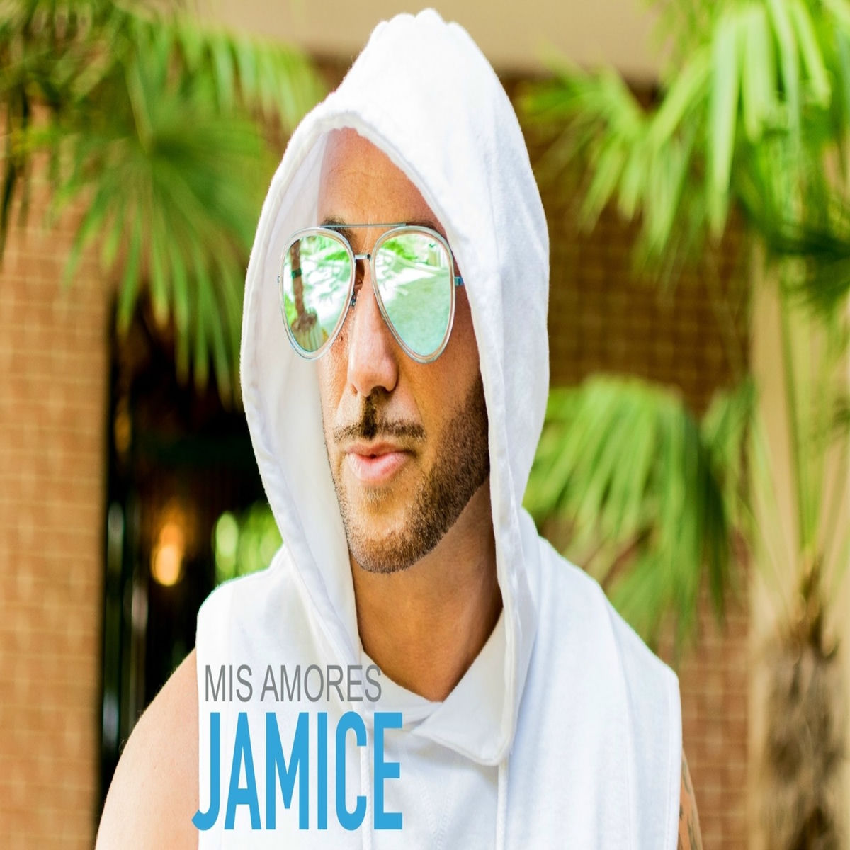 Album cover of Mis Amores