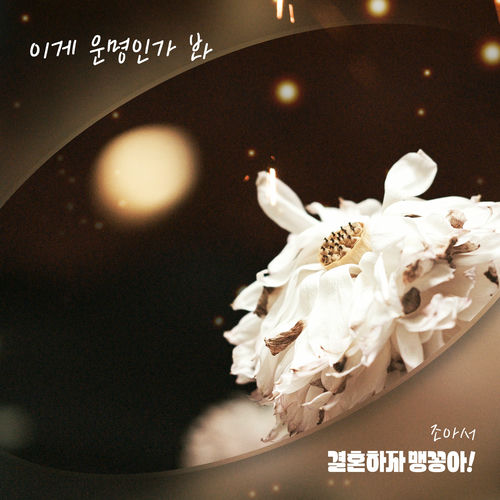 Jo A Seo  – 결혼하자 맹꽁아! (Original Television Soundtrack) Pt.20