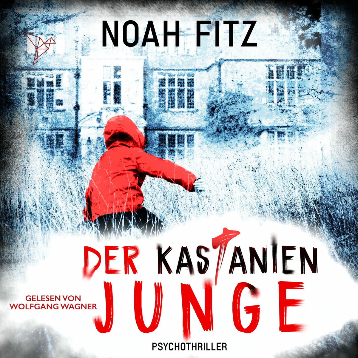 Album cover of Kapitel 1 - Der Kastanienjunge - Johannes-Hornoff-Thriller, Band 13