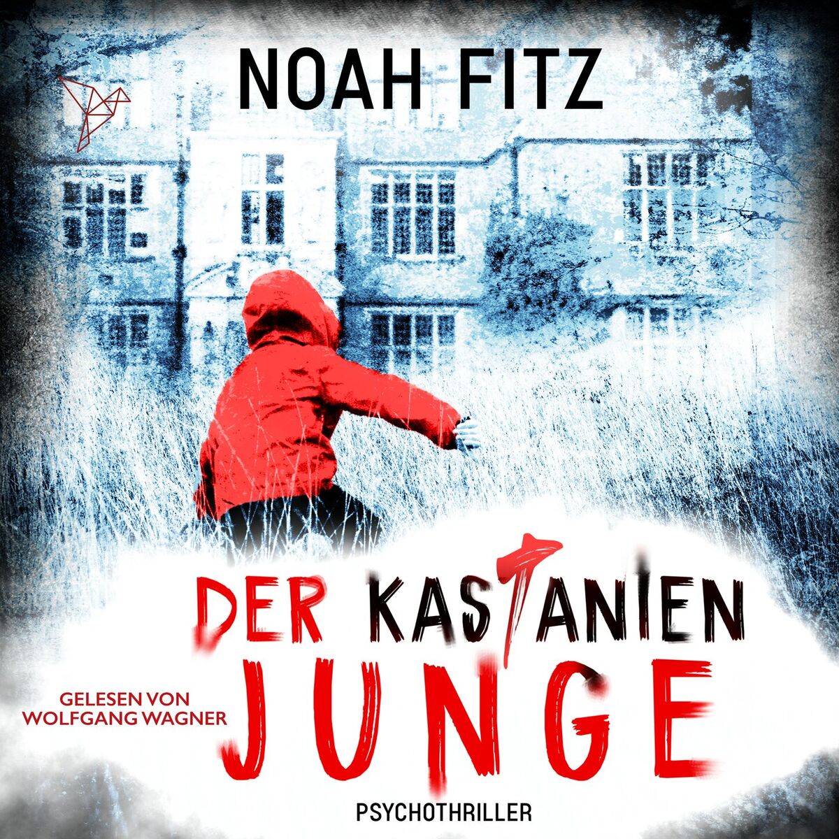 Album cover of Der Kastanienjunge - Johannes-Hornoff-Thriller, Band 13 (Ungekürzt)