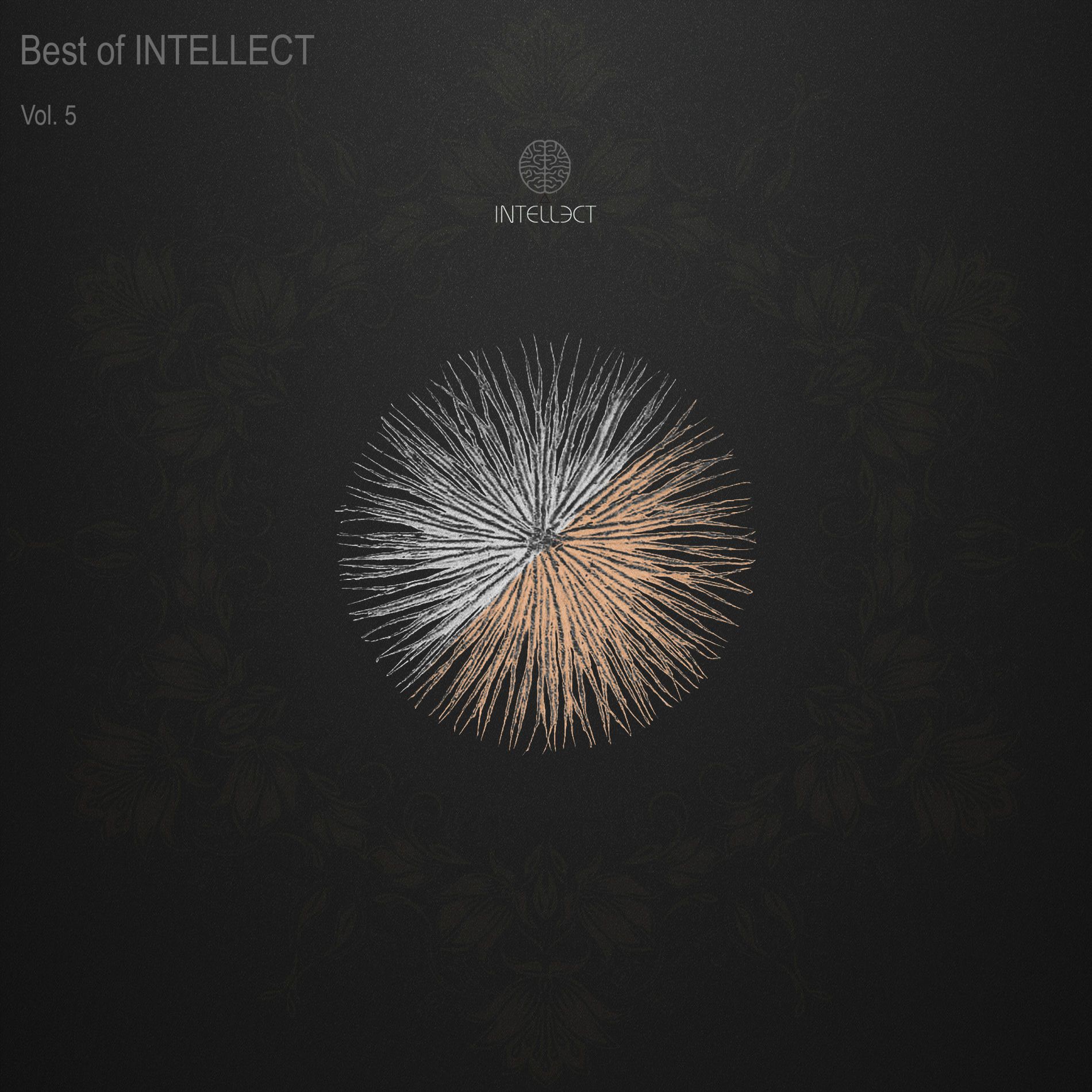 Album cover of BEST OF INTELLECT, Vol. 5