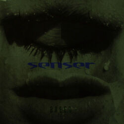 Cover of Breed EP