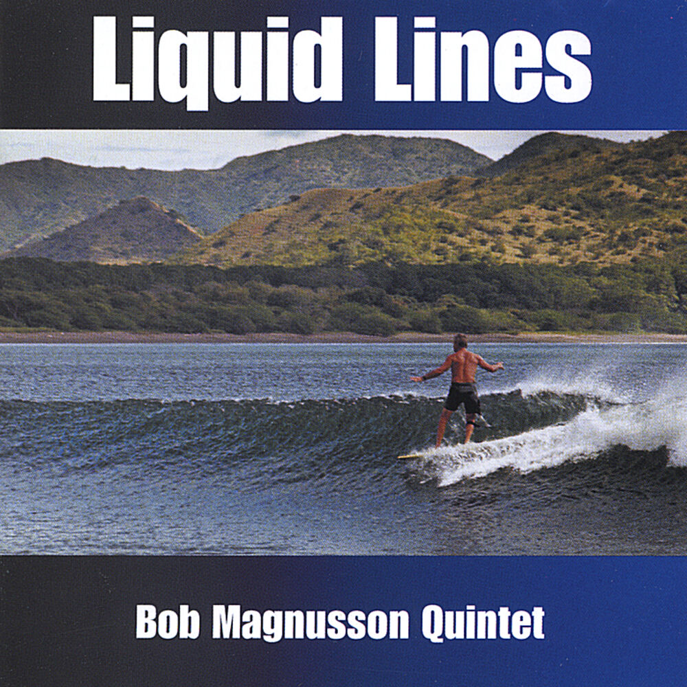 Picture of Liquid Lines