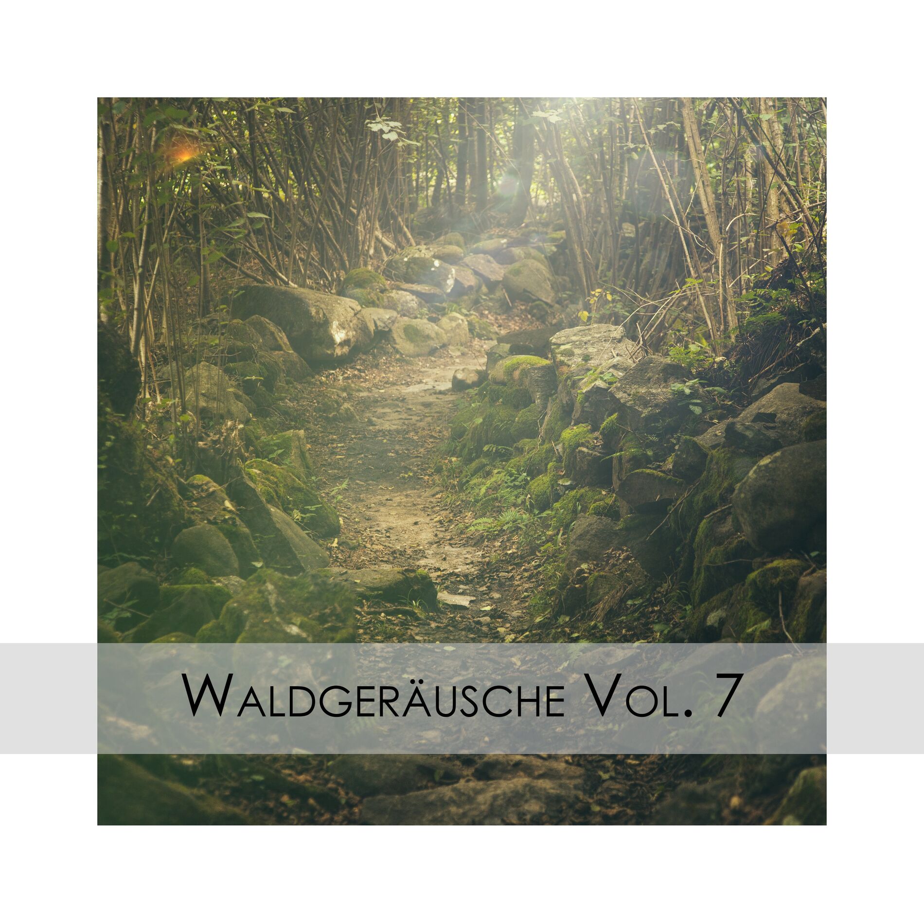 Album cover of Waldgeräusche Vol. 7