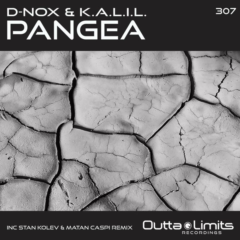 Picture of Pangea