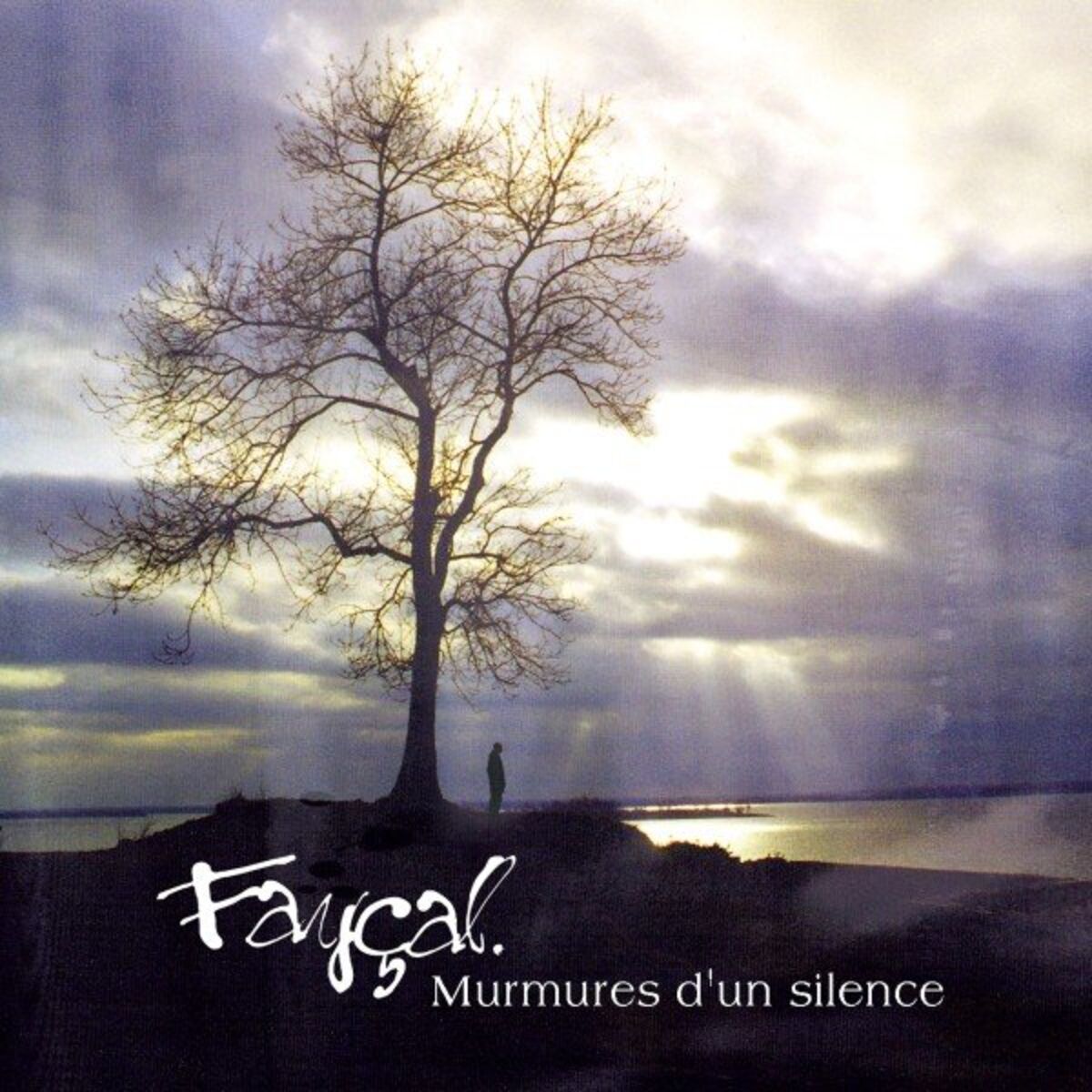 Album cover of Les vestiges de ma vingtaine